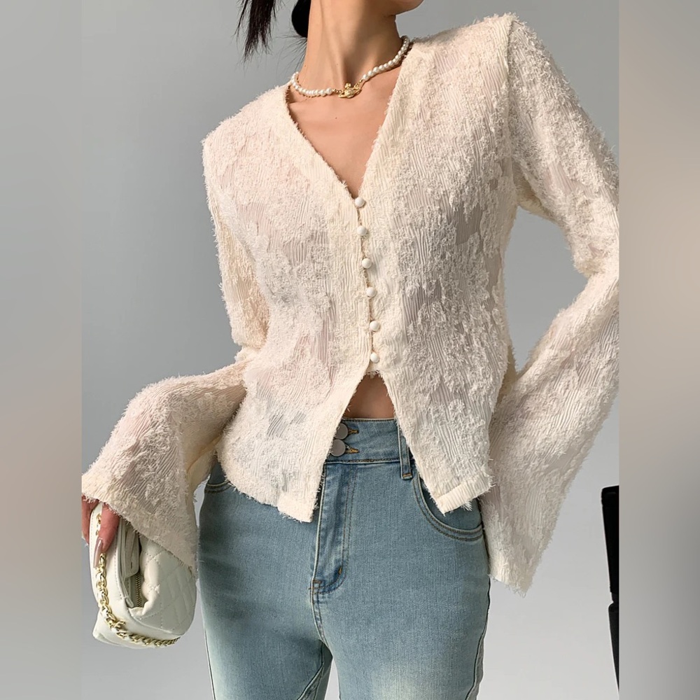 NWT Semi Sheer V Neck Ruffle Long Sleeve Textured Blouse